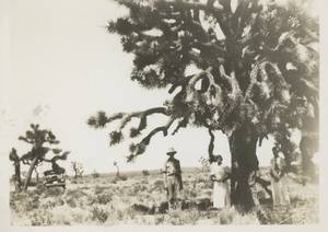 Ian McTaggart-Cowan with Eileen and Joyce Racey (1935) thumbnail