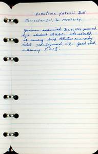 file details