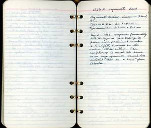 file details