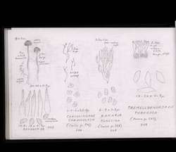 file details