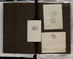 file details