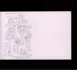 file details