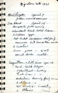 file details