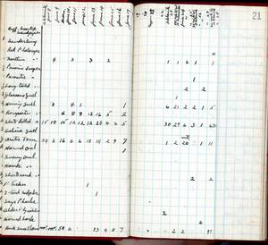 file details