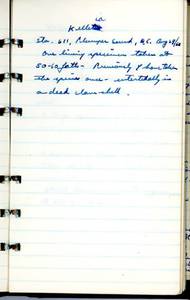 file details