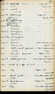 file details