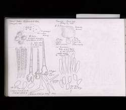 file details