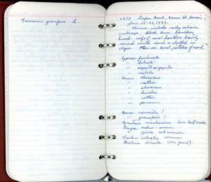 file details