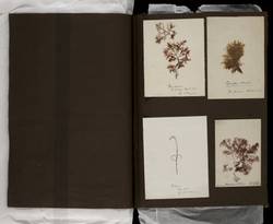 file details