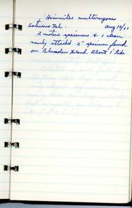 file details