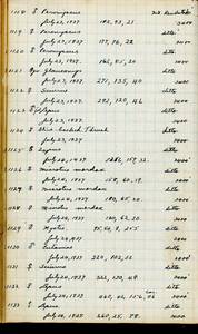 file details