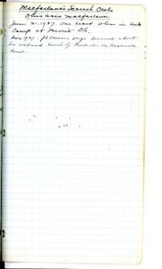file details