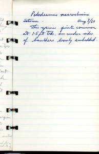 file details
