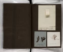 file details