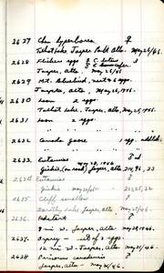 file details