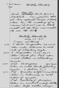 file details