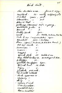 file details