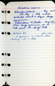 file details