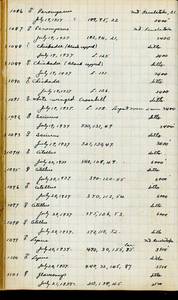 file details