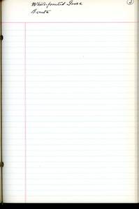 file details