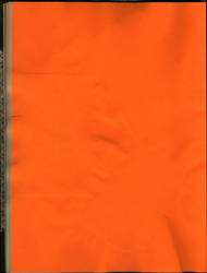 file details