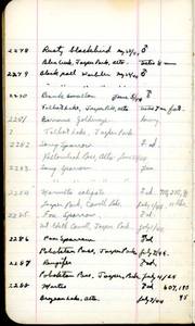file details