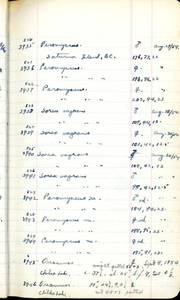file details