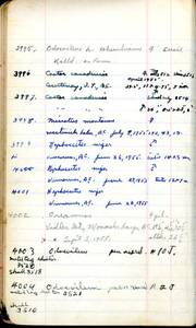 file details