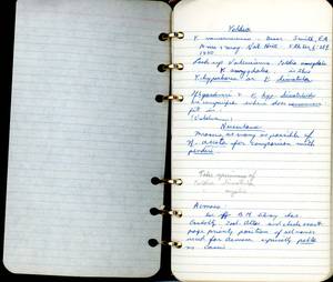 file details