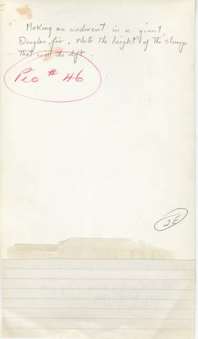 file details