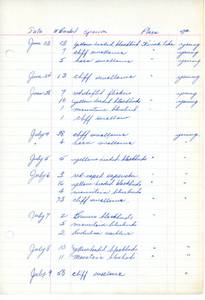 file details