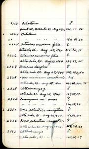 file details