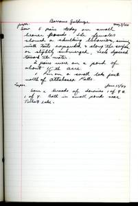 file details