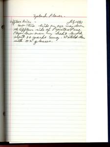 file details