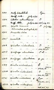 file details