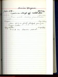 file details