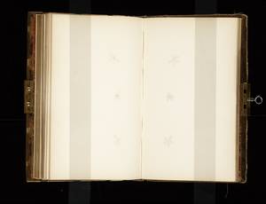 file details