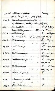 file details