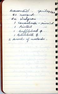 file details