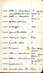 file details
