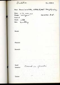 file details
