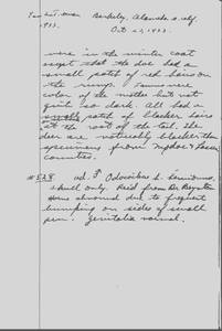 file details
