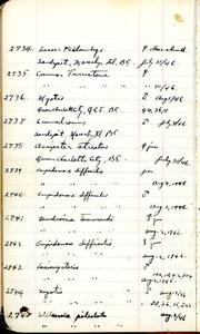 file details