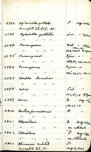 file details