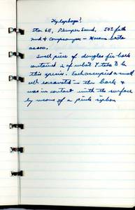 file details
