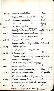 file details