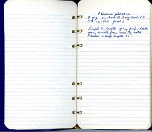 file details
