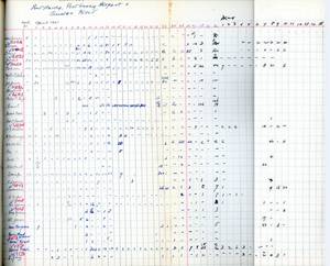 file details