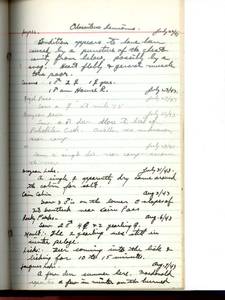 file details