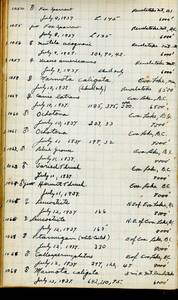 file details